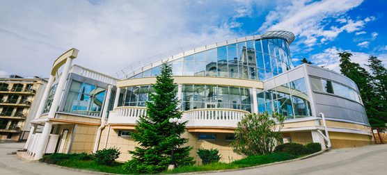 echo get_post_meta( get_post_thumbnail_id(), '_wp_attachment_image_alt', true );