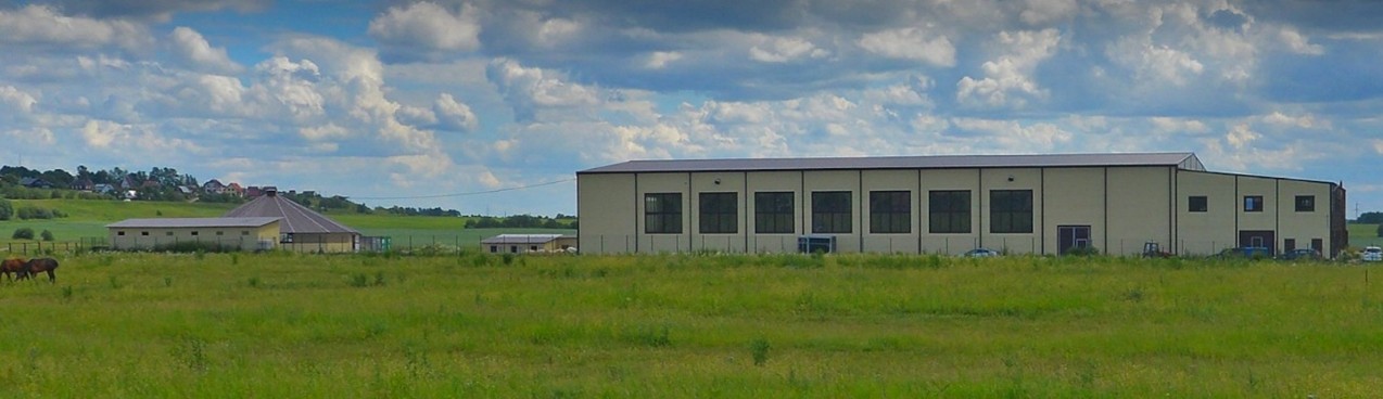 echo get_post_meta( get_post_thumbnail_id(), '_wp_attachment_image_alt', true );